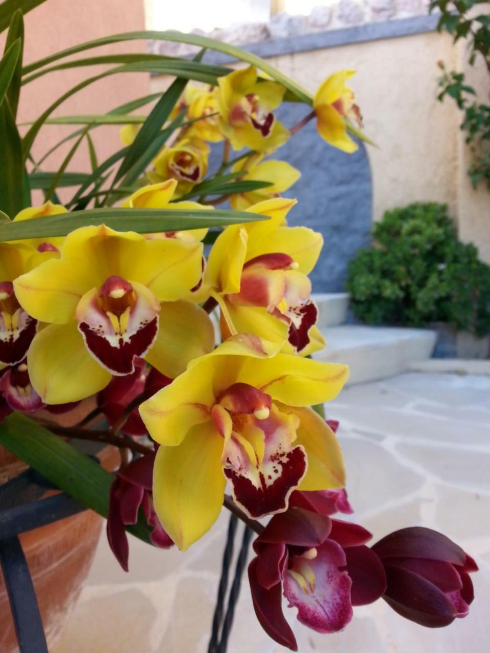 Les Citronniers D'Azur Villa Menton Luaran gambar